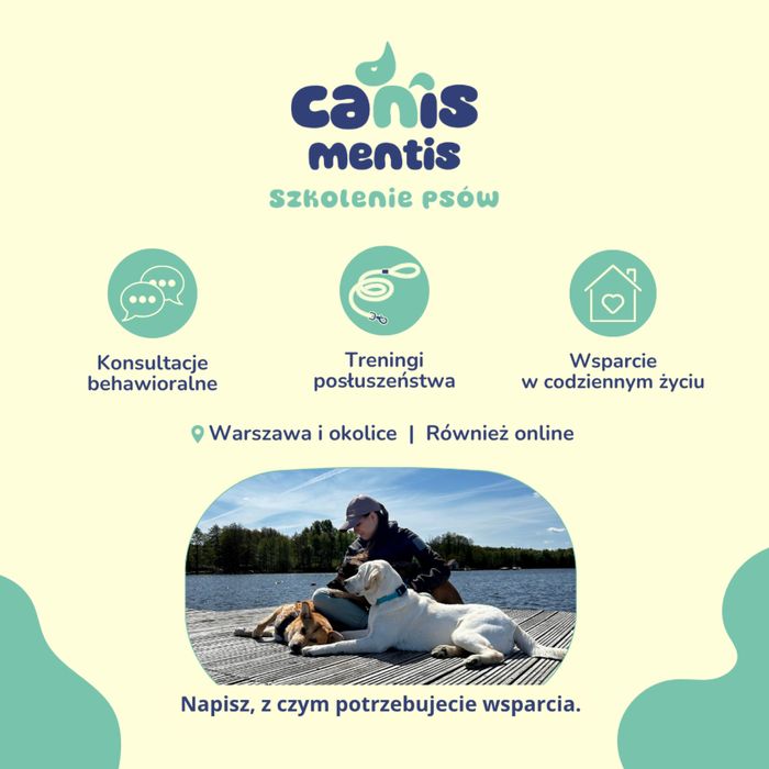 Zoopsycholog - trener psów. Zapraszam na konsultacje behawioralne:)