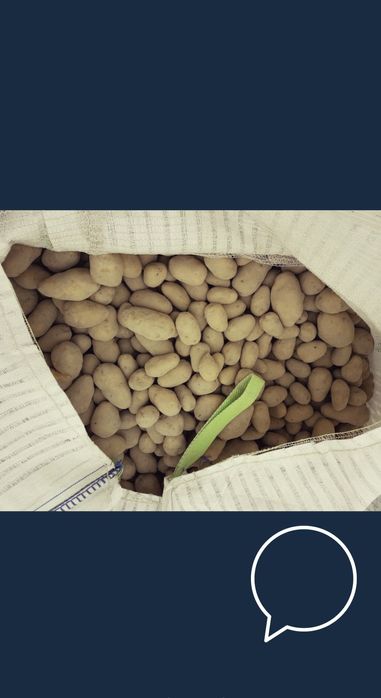 Ziemniaki paszowe odpadowe