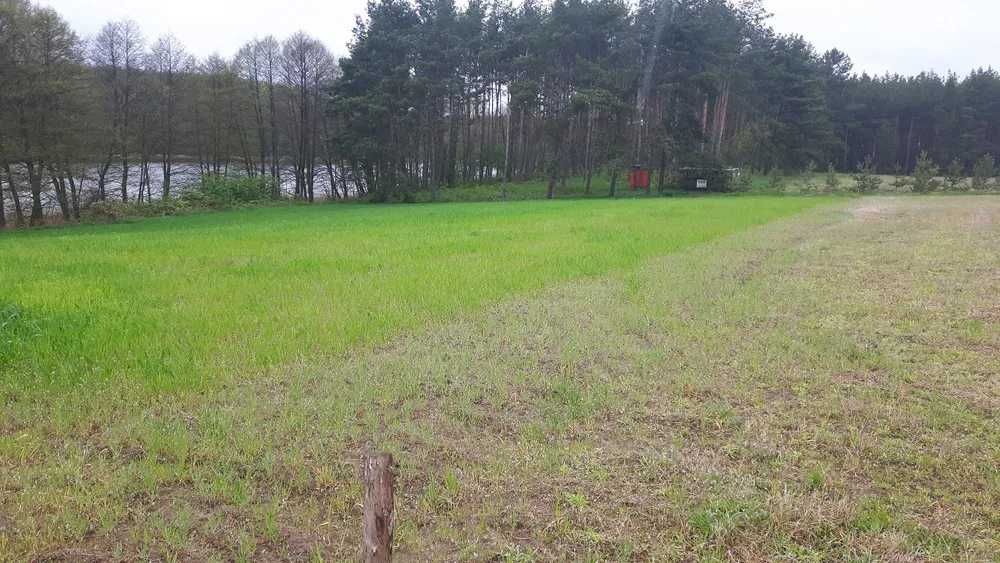 działka z linią brzegową jeziora w Borach Tucholskich