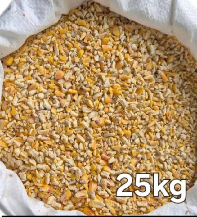 Kukurydza "cięta' dla drobiu Sklep Hobby Krosno Odrzańskie