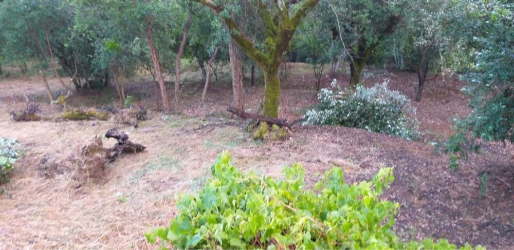 2 terrenos na Eira do Chão , um misto com casas, a principal reconstruída na estrutura  e cobertura