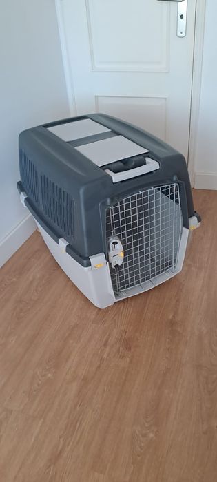 Acessórios para cães