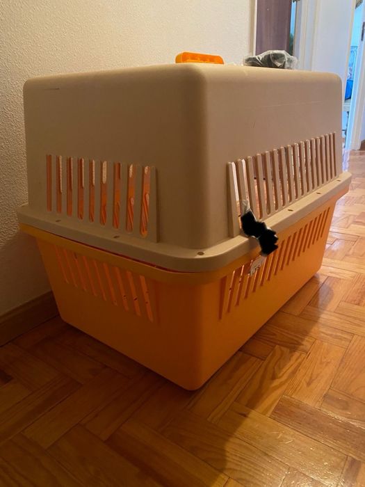 Caixas transportadoras para cães