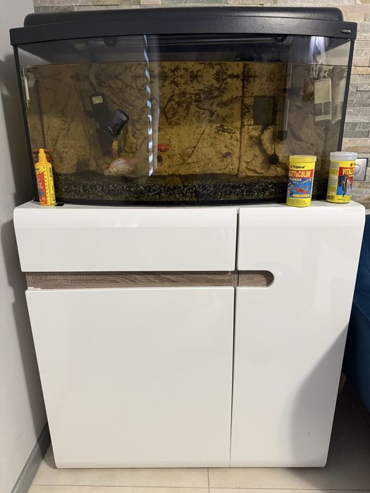 Akwarium z rybkami i szafką