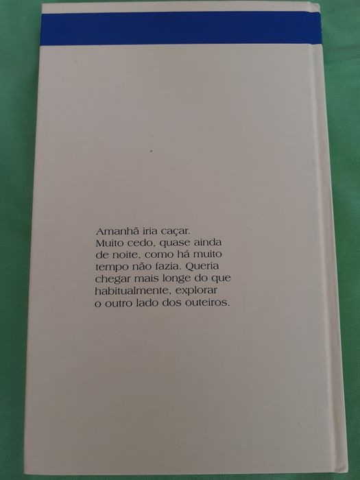 O Cavalo de Sol, Teolinda Gersão
