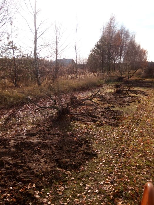 Usługi Minikoparka 3,5t i Koparko-Ładowarka -prace ziemne