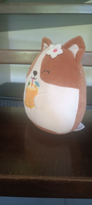 Squishmallows Maskotka Pluszak Brązowy PIES CORGI Z NAPOJEM REGINA 19 cm