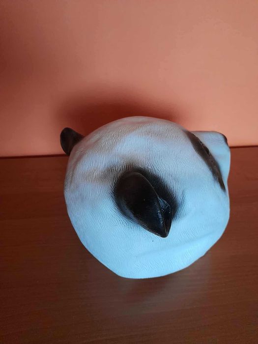 Strój Panda Pirat