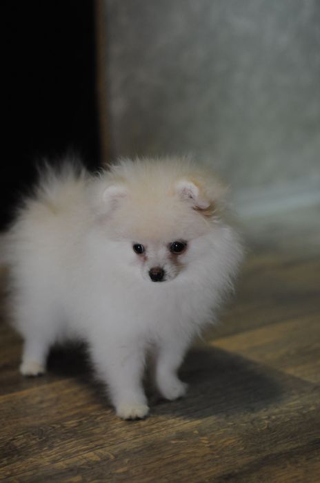 Плюшевая мини девочка