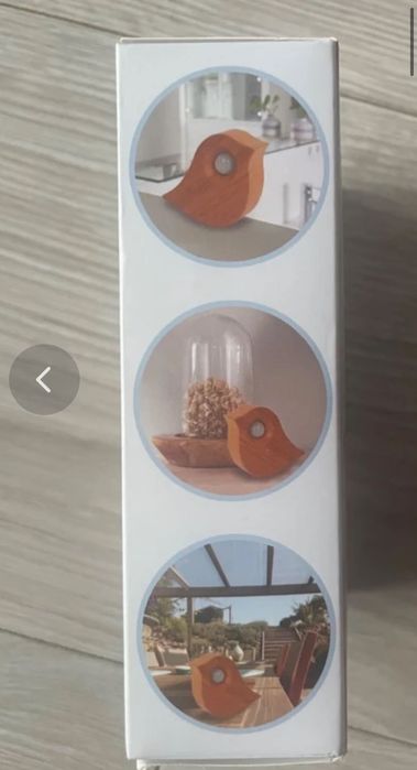 Skrzynka z odgłosami ptaków action