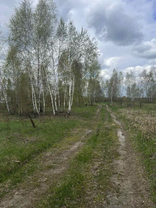 Продам ділянку в с Нові Петрівці – pohled 3