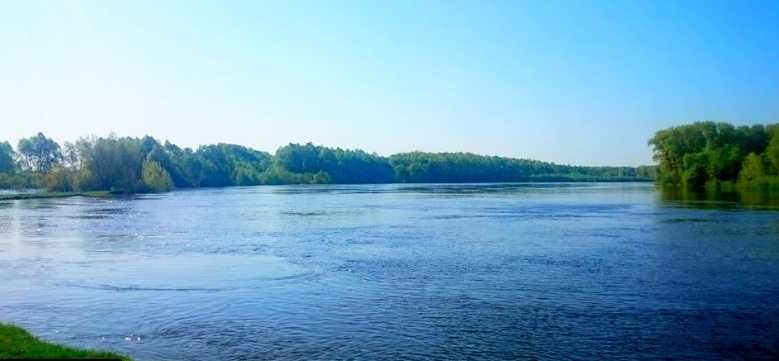 TO Земельна ділянка на березі ріки Десна