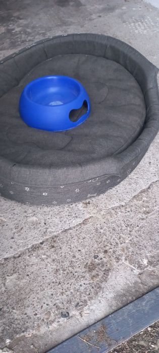 legowisko, mata chłodząca dla psa