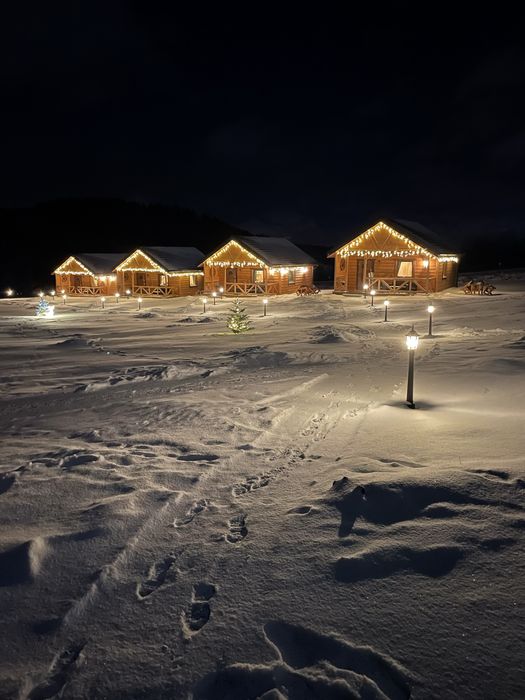 Domki Sudety 14 km Zieleniec | Ferie 20.02 | 2–6 os | Duszniki-Zdrój