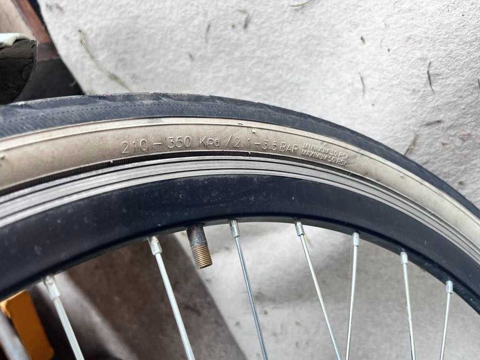 Rower młodzieżowy Zeger 24''