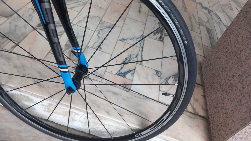 Bicicleta Focus Cayo 2016