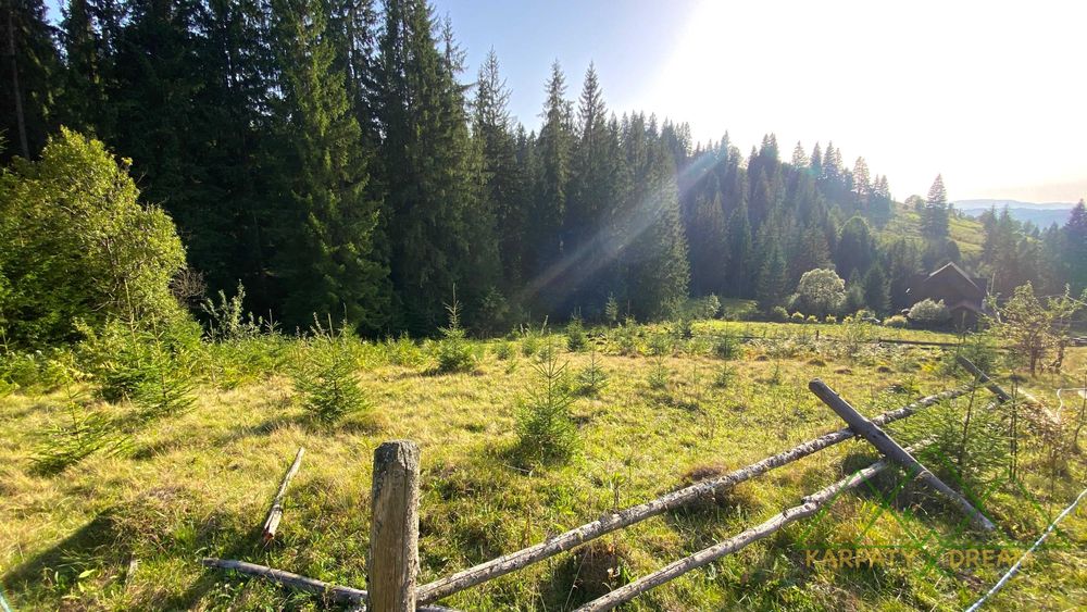 Продаж ділянки, межує з лісом