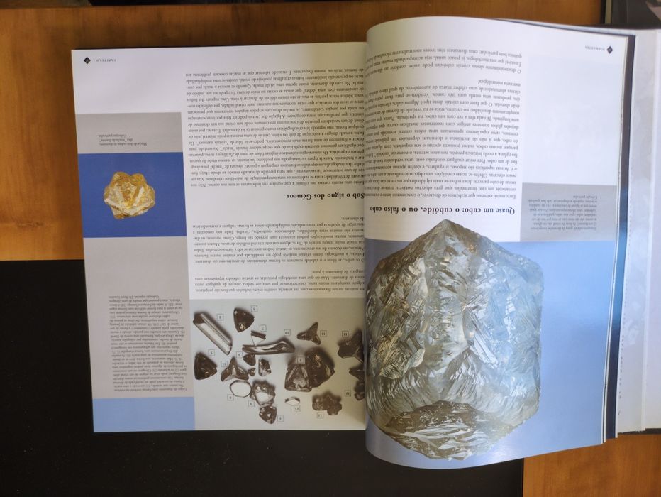 Diamantes direcção de Hubert Bari e Violaine Sautter