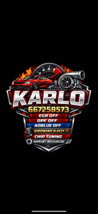 Immo Imobilizer off Egr Dpf Adblue ABS Licznik BSI Bcm NAPRAWA