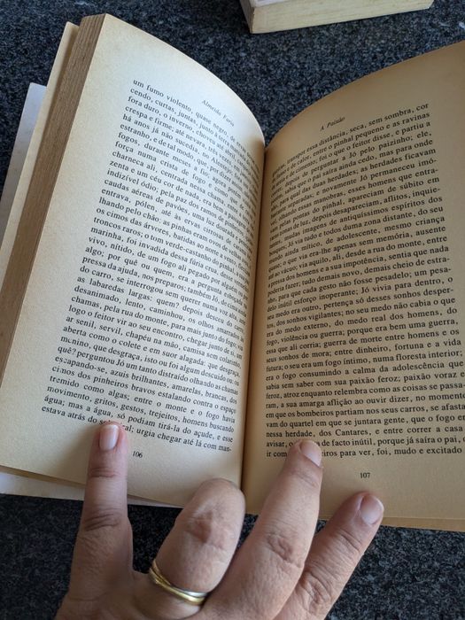 A Paixão. Almeida Faria