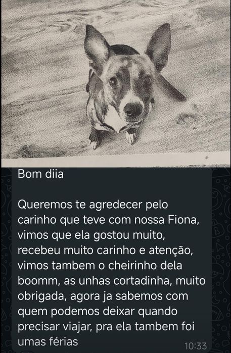 Estadia familiar 4 patas
