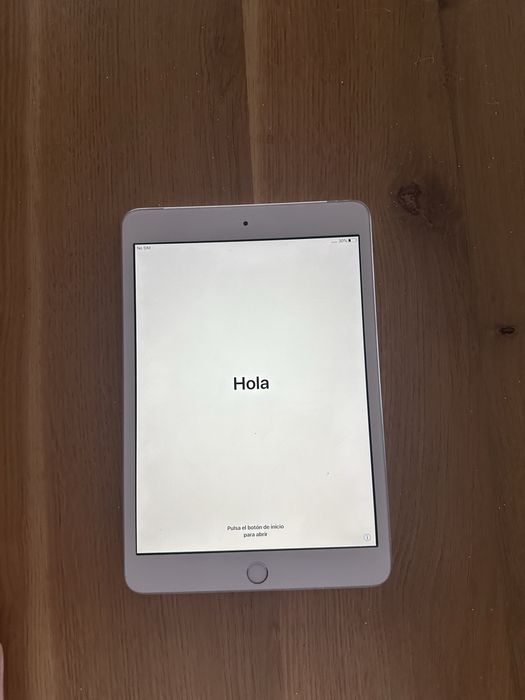 Apple Ipad mini 3