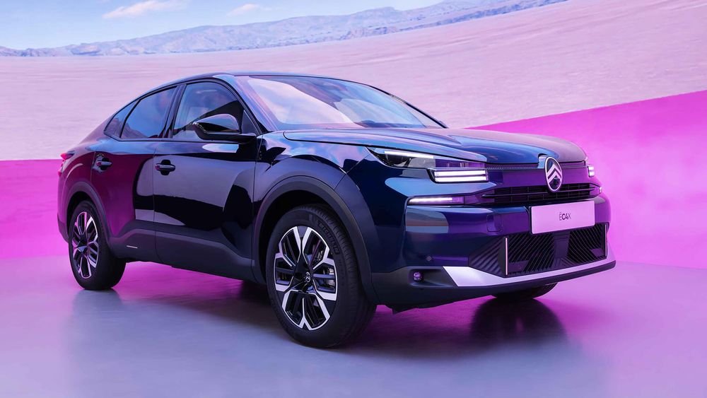 Zdjęcie w galerii numer 2