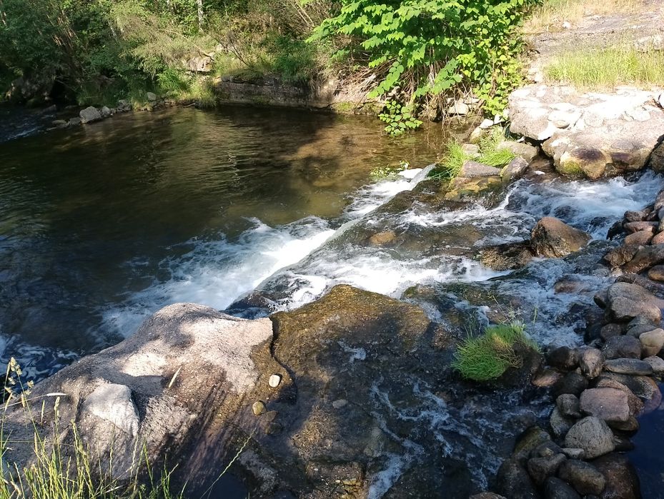 Wolne terminy  Domki ,apartament -pokoje tanie noclegi