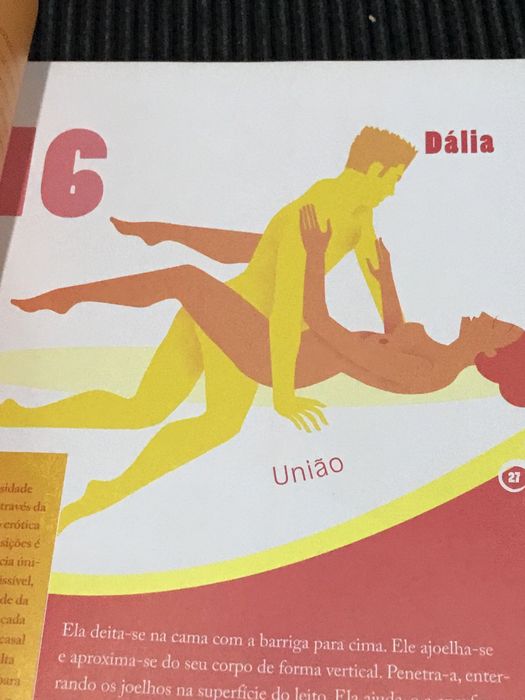 Livro Sexo + de 100 Posições
