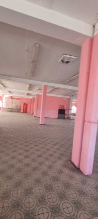 Здається приміщення. 560 м.кв.