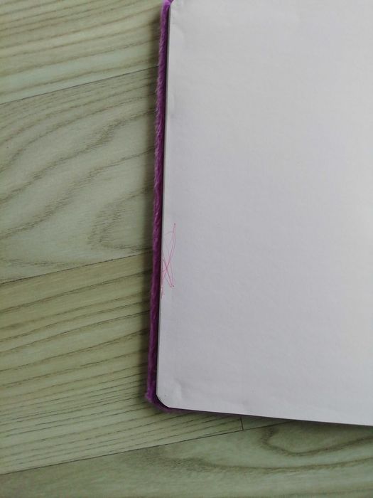 Pamiętnik i notes Frozen