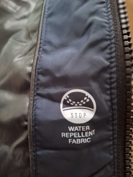 Kispo de menino Pepe Jeans 12 anos