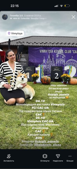 Вʼязка  кобель вельш коргі пемброк