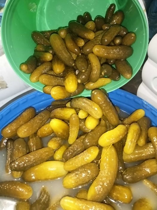 Ogórki kiszone beczkowe, kapusta