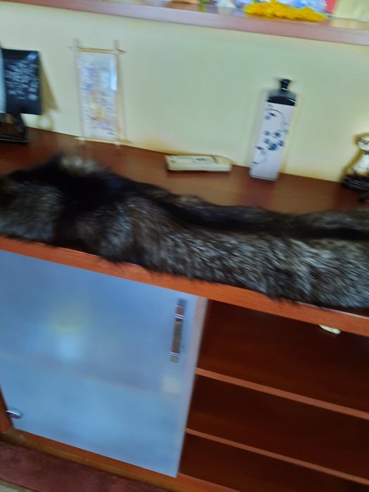 Продам мех чернобурка новый