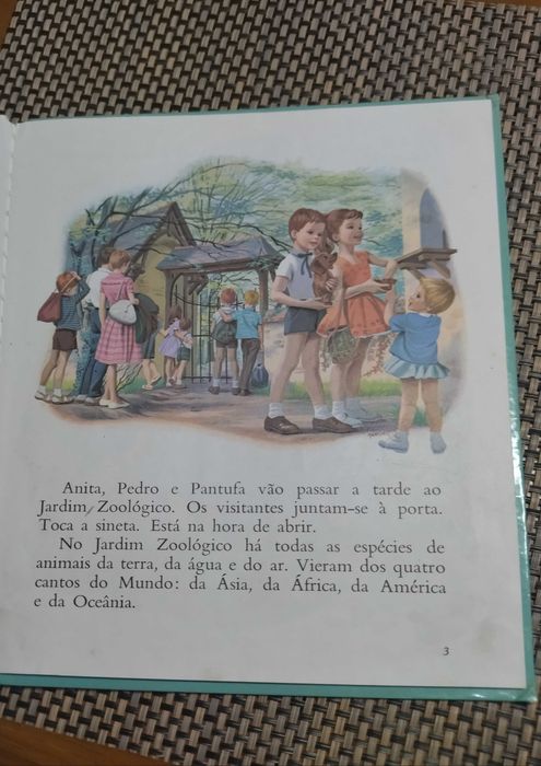 Livro Anita no jardim zoológico usado