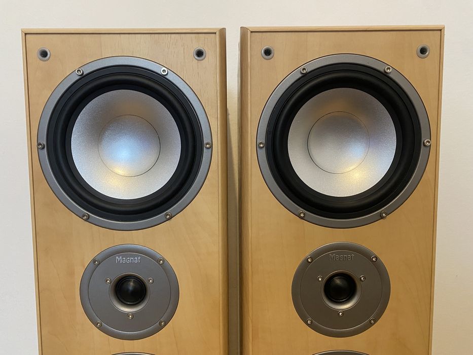 Акустика колонки Magnat Monitor 880