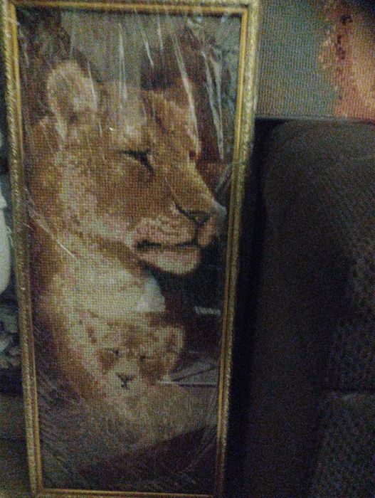 Картина алмазна мозаїка