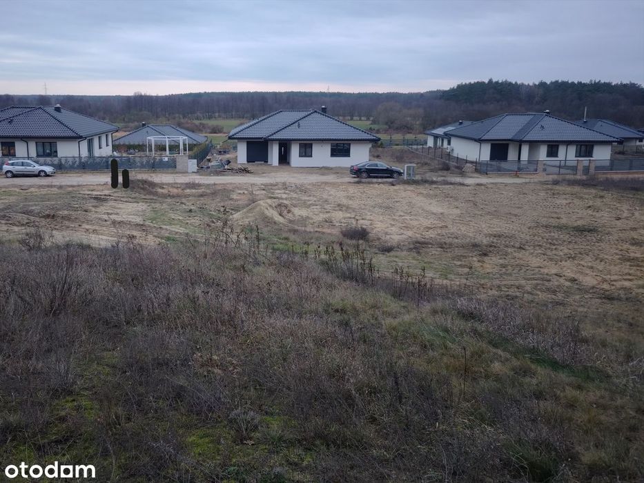 Urokliwa Działka w Zamku Bierzgłowskim. - Widok 2