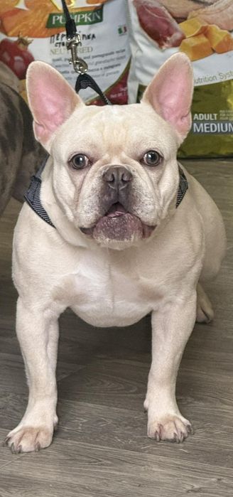 Кабель для в'язки