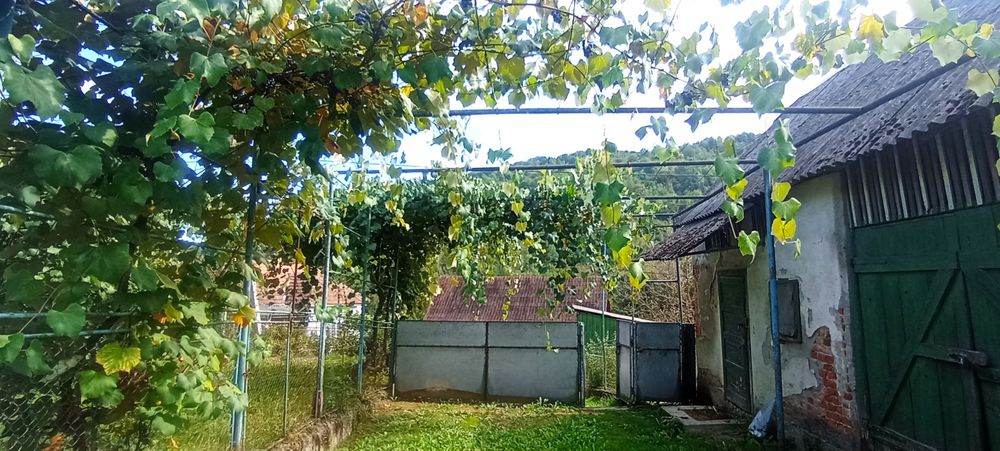 Ціну знижено! Продамо будинок та 25 соток Голубине на пагорбі