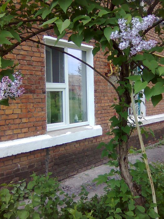 ремонт окон дверей балконов