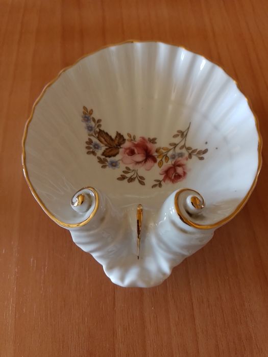 Concha média Artibus