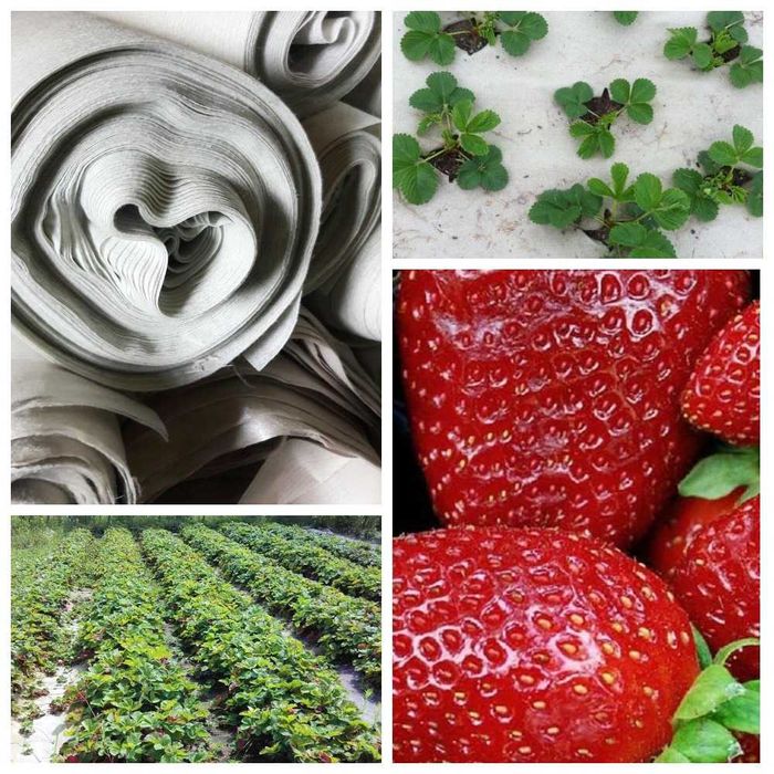 Геотекстиль термофіксований щільністю 100, 120, 150, 200г/м2