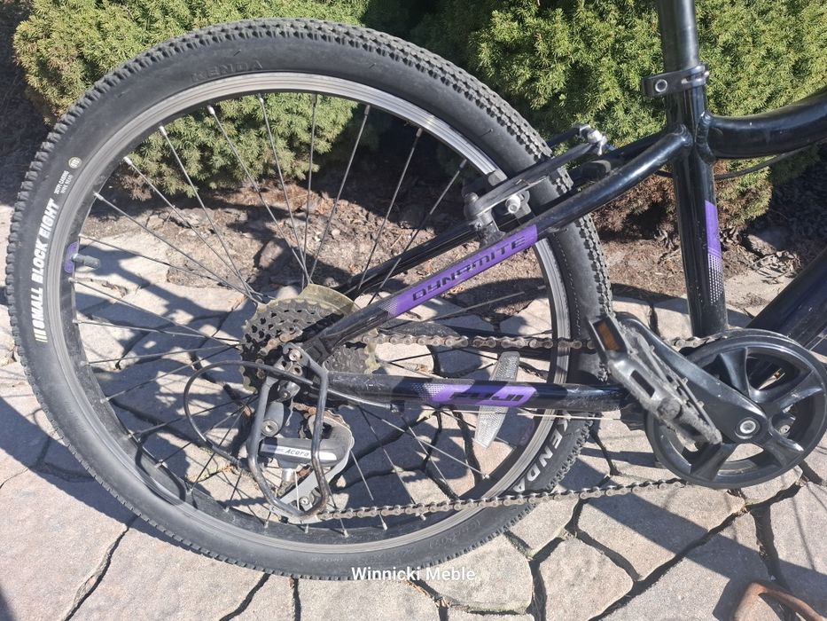 Rower  FUJI Dynamite 24"