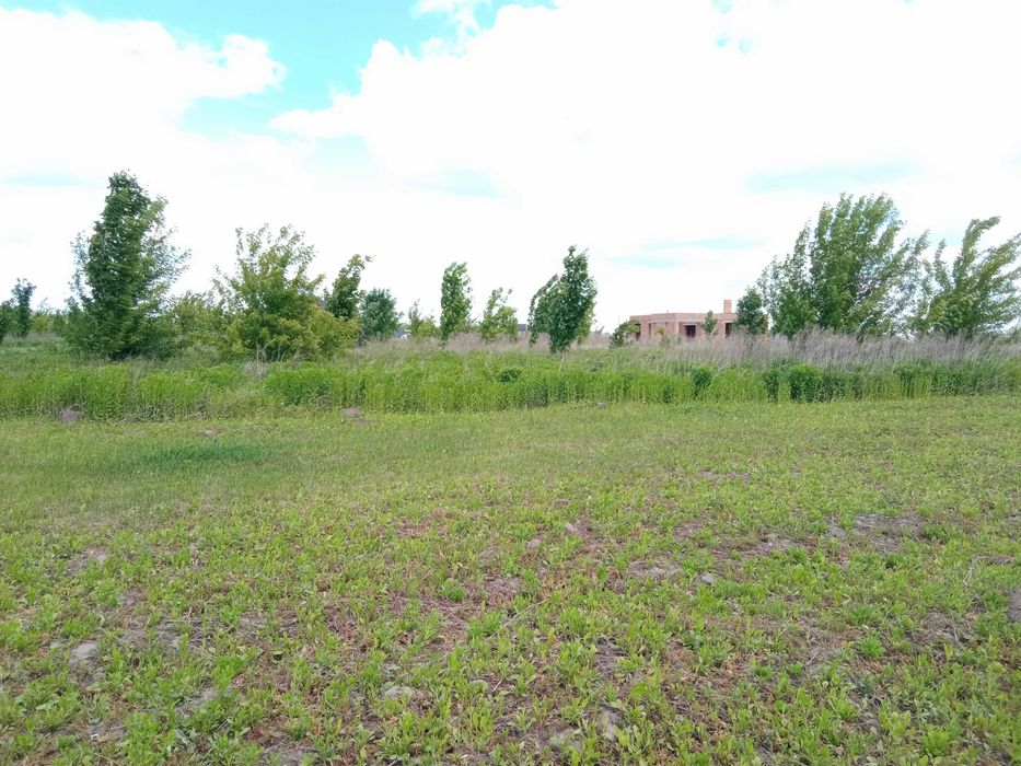 Ідеальне місце для вашого дому: 8 соток у Бохониках (Вінниця) за 20 000 $!