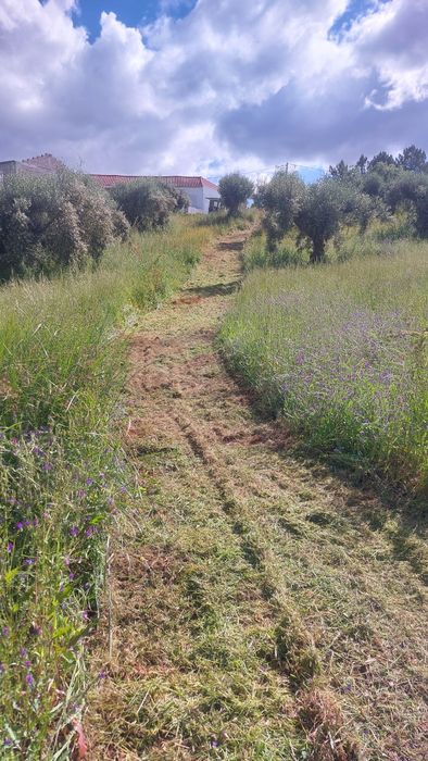 Limpeza e desmatação de terrenos