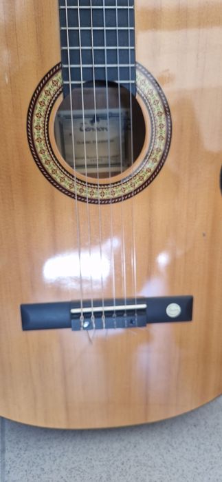 Guitarra clássica Tenson e saco