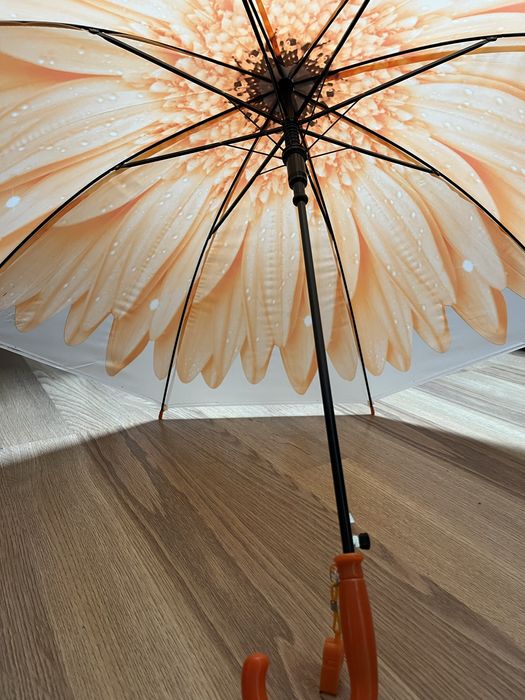 Парасолька