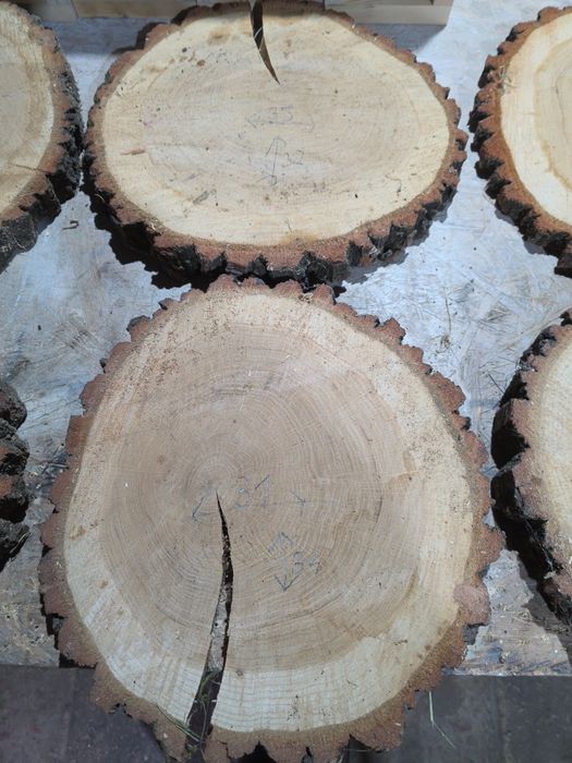 Plastry dębowe drewniane